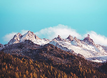 九游体育APP：让每一次比赛都成为掌上盛宴